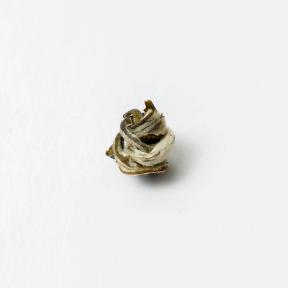 Single green tea leaf from Nepal Tea's Organic Farmers' Green tea, showing fresh, vibrant green foliage.