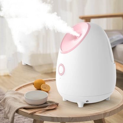 Household fruit and vegetable spray moisturizing steaming facial device, front view