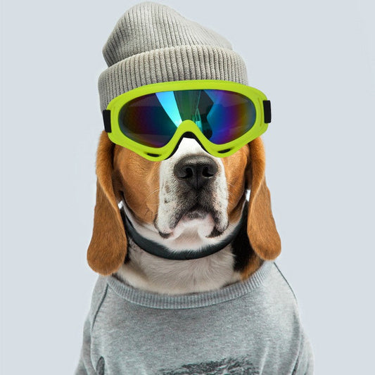 Outdoor dog sunglasses fashion decoration accessory in a stylish matching design