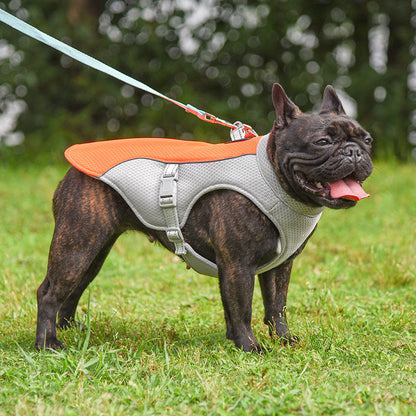 Summer pet outdoor breathable cooling vest shown in lightweight, ventilated design for warm-weather comfort
