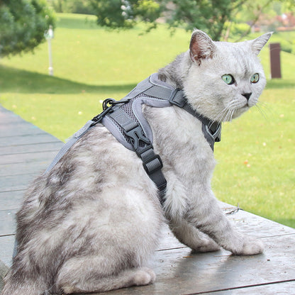 Silver gradient anti-breakaway cat rope chain collar by My Store