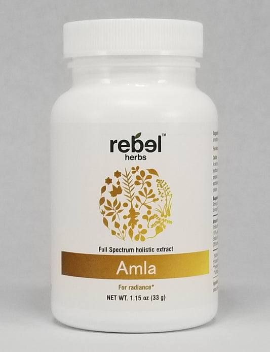Amla Dual Extracted Powder from BACKUPMYFILESNOW® in a clear jar, showcasing the vibrant, finely ground herbal powder.
