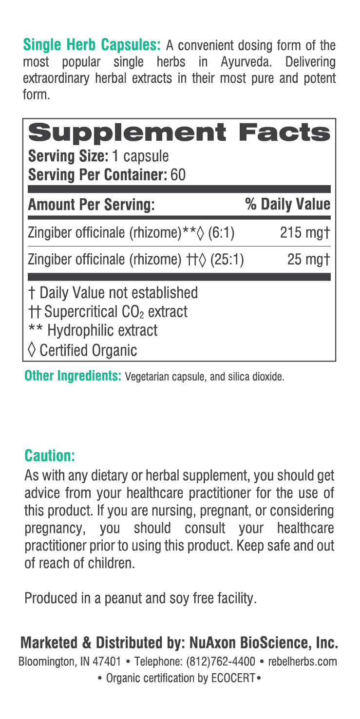 BackUpMyFilesNow® Women's Health Ginger Capsules showing a clear bottle with capsules inside, promoting natural wellness.