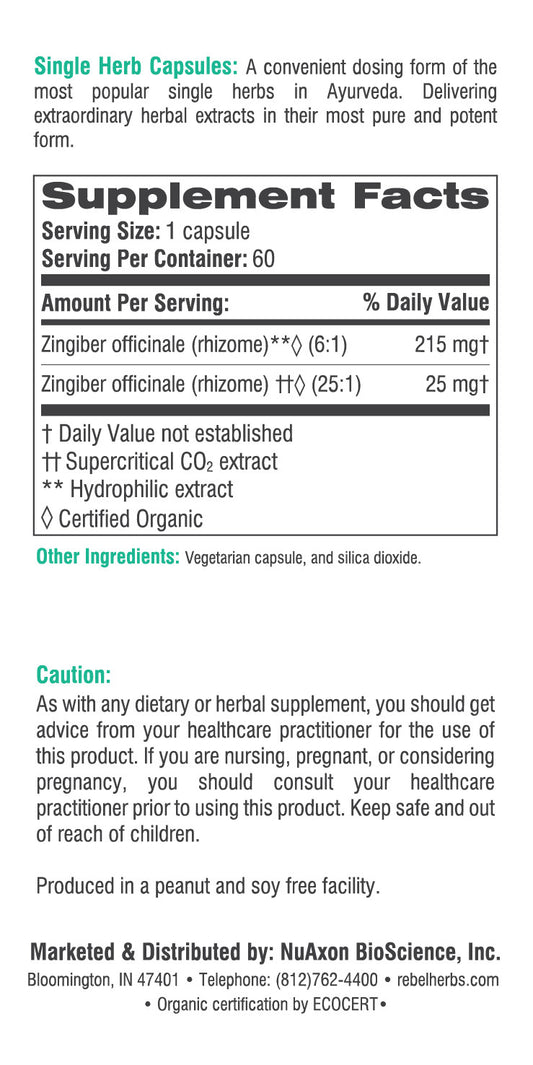BackUpMyFilesNow® Women's Health Ginger Capsules showing a clear bottle with capsules inside, promoting natural wellness.