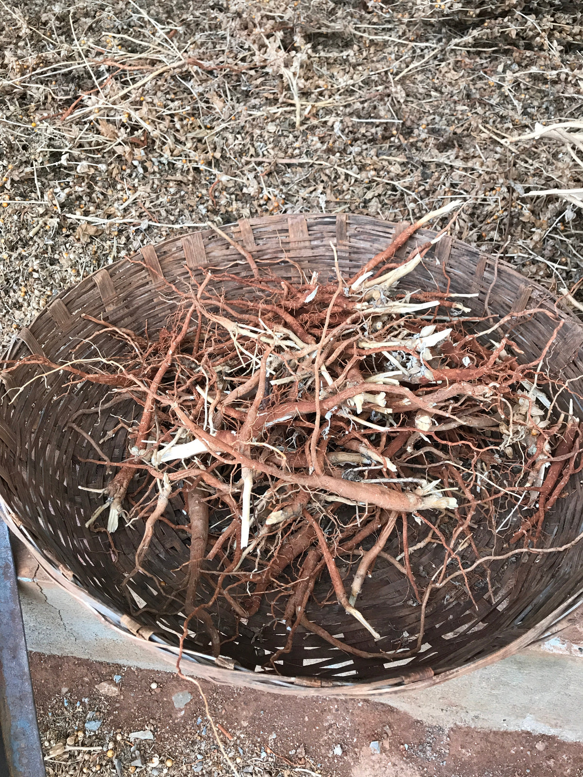 BackuppMyFilesnow® Ashwagandha capsules for stress relief, showing a bottle of herbal supplement capsules on a neutral background