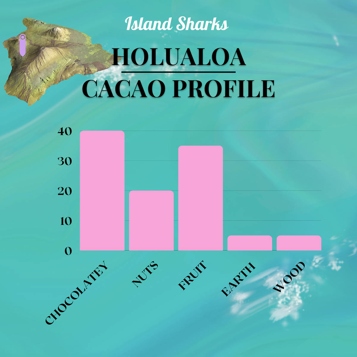 Dark chocolate bar with Hawaiian vanilla and cacao beans, produced by ISLAND SHARKS CHOCOLATE, part of Kuleana Rum 71% Hawaiian cacao line.