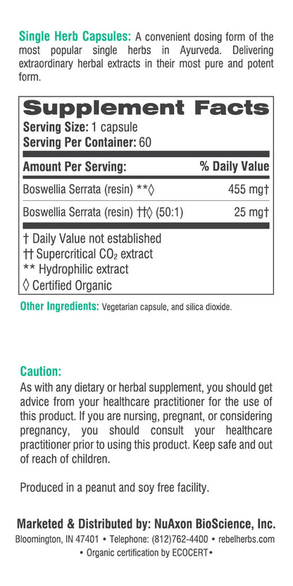 Boswellia capsules from BACKUPMYFILESNOW® displayed in a container with a label, highlighting single herb herbal supplement.