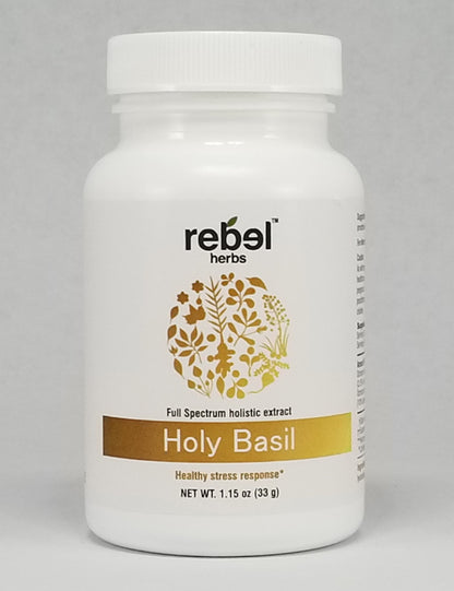 Holy Basil dual extracted powder from BACKUPMYFILESNOW®, a natural single herb powder with vibrant green appearance and fine texture.
