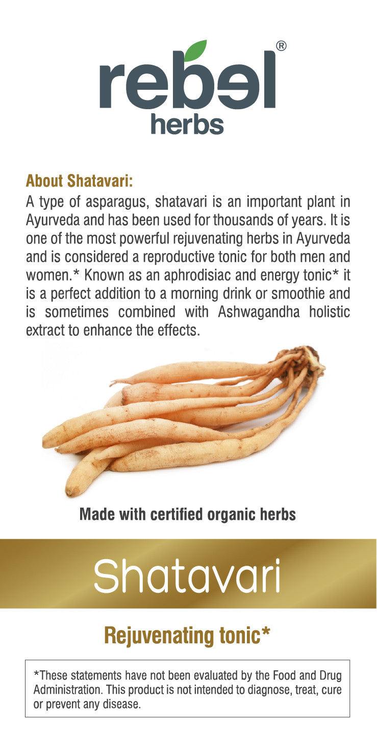 Shatavari dual extracted powder from BACKUPMYFILESNOW® in a clear container, showcasing the fine herbal powder.