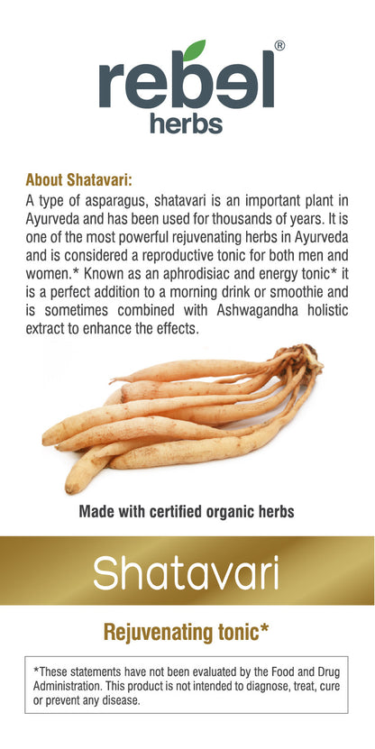 Shatavari dual extracted powder from BACKUPMYFILESNOW® in a clear container, showcasing the fine herbal powder.