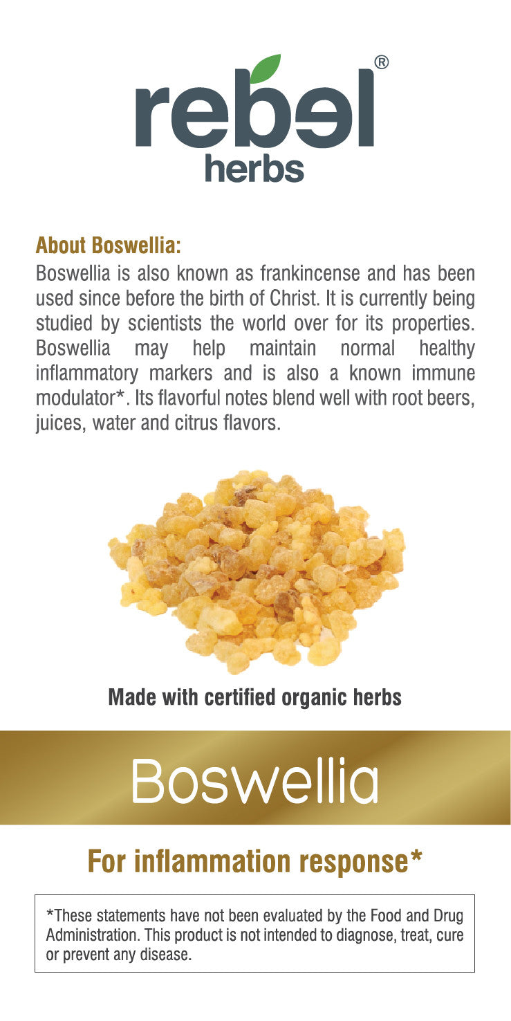 Boswellia dual extracted powder from BACKUPMYFILESNOW®, showcasing the finely ground herbal supplement in a clear container.