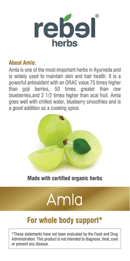 Amla Dual Extracted Powder from BACKUPMYFILESNOW®, a single herb powder in a clear jar showing vibrant green Amla powder inside.