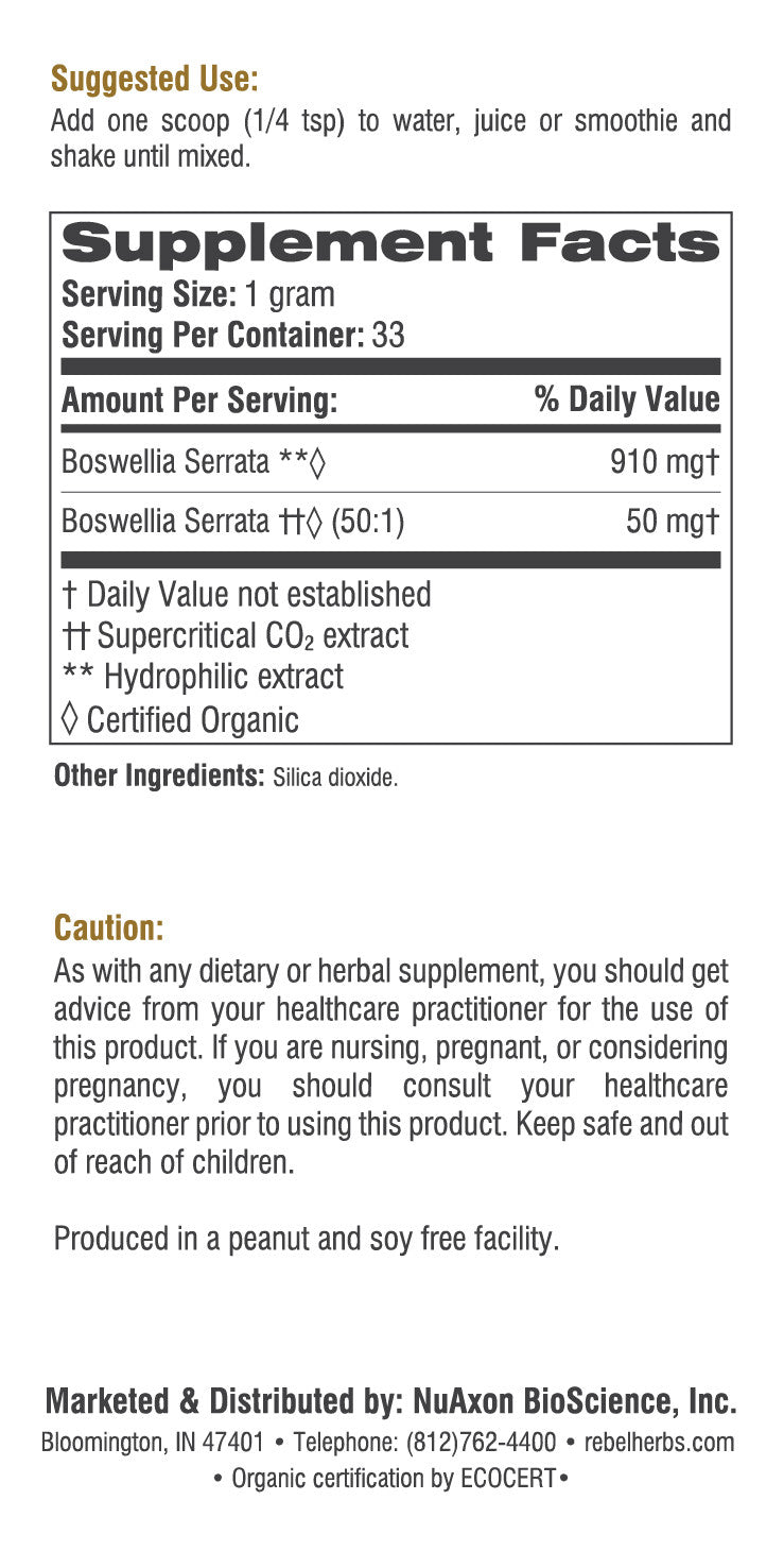 Boswellia dual extracted powder in a clear jar, showcasing the natural, finely ground herbal supplement from BACKUPMYFILESNOW®.