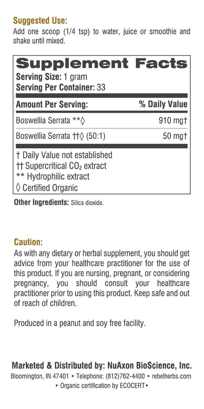 Boswellia dual extracted powder in a clear jar, showcasing the natural, finely ground herbal supplement from BACKUPMYFILESNOW®.