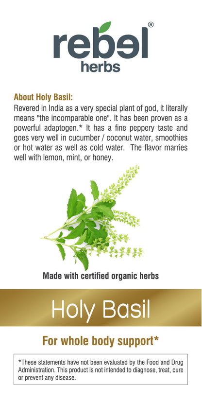 Holy Basil dual extracted powder from BACKUPMYFILESNOW®, showcasing the fine, herbal powder in a clear container.