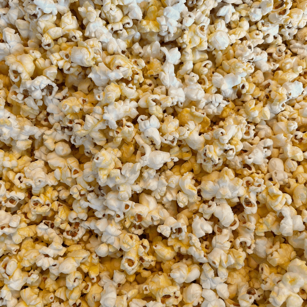 Fisher's Popcorn caramel popcorn tub, 1.2 gallons, showing a large plush popcorn tub with caramel popcorn inside.