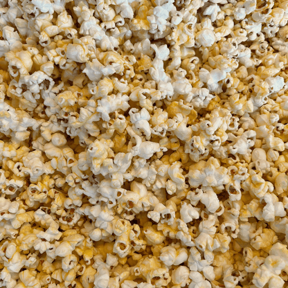 Fisher's Popcorn caramel popcorn tub, 1.2 gallons, showing a large plush popcorn tub with caramel popcorn inside.