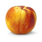 Fresh organic yellow peach on a white background, showcasing its vibrant color and smooth skin.