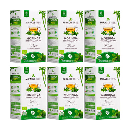 Organic Moringa Tea with mint by Miracle Tree, herbal caffeine-free tea in a clear glass cup with mint leaves.