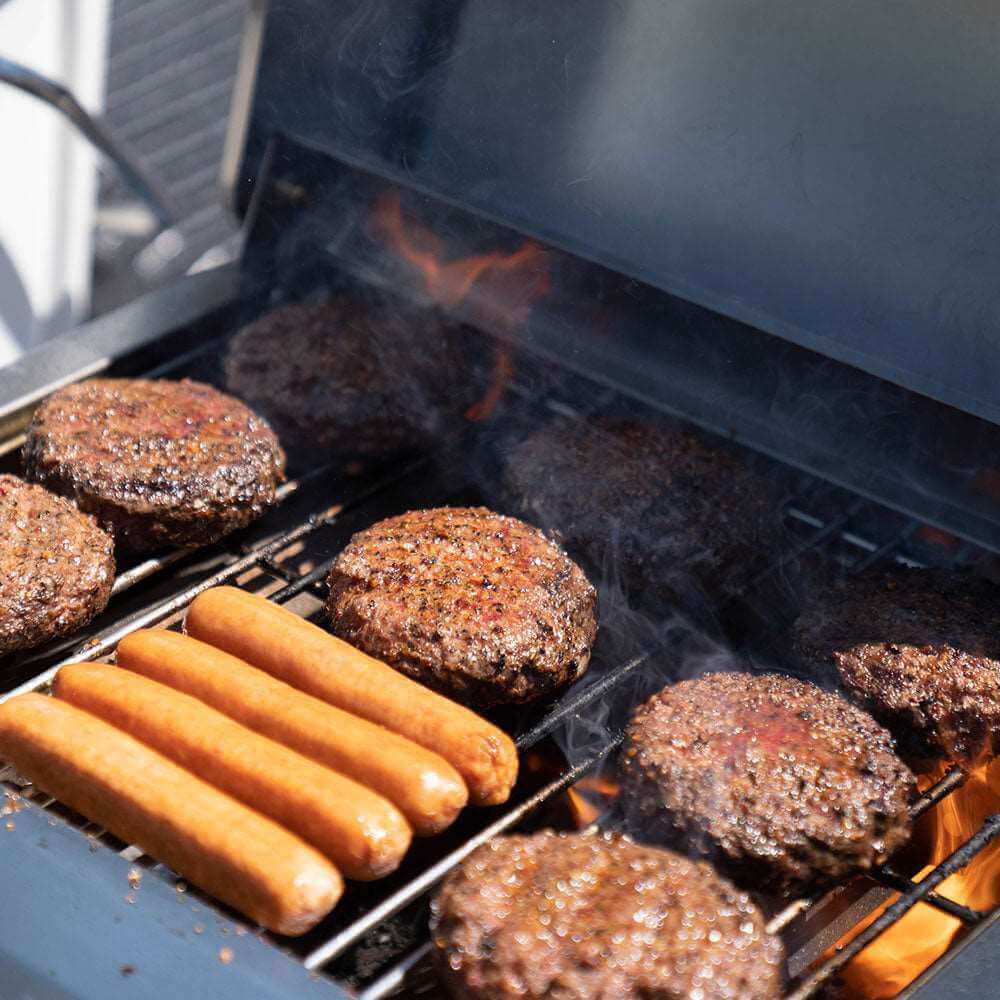 Stainless steel G22 Monument Grills tabletop propane gas grill with lid and control knobs for outdoor cooking.