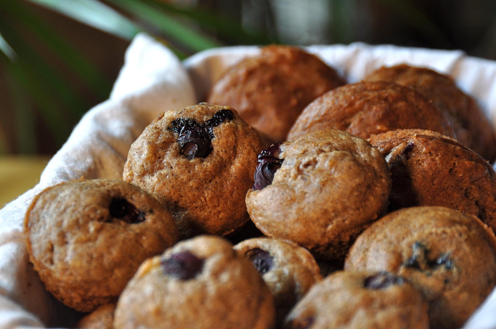 Pack of gfJules gluten-free muffin mix in a resealable bag, ready for baking delicious gluten-free muffins.
