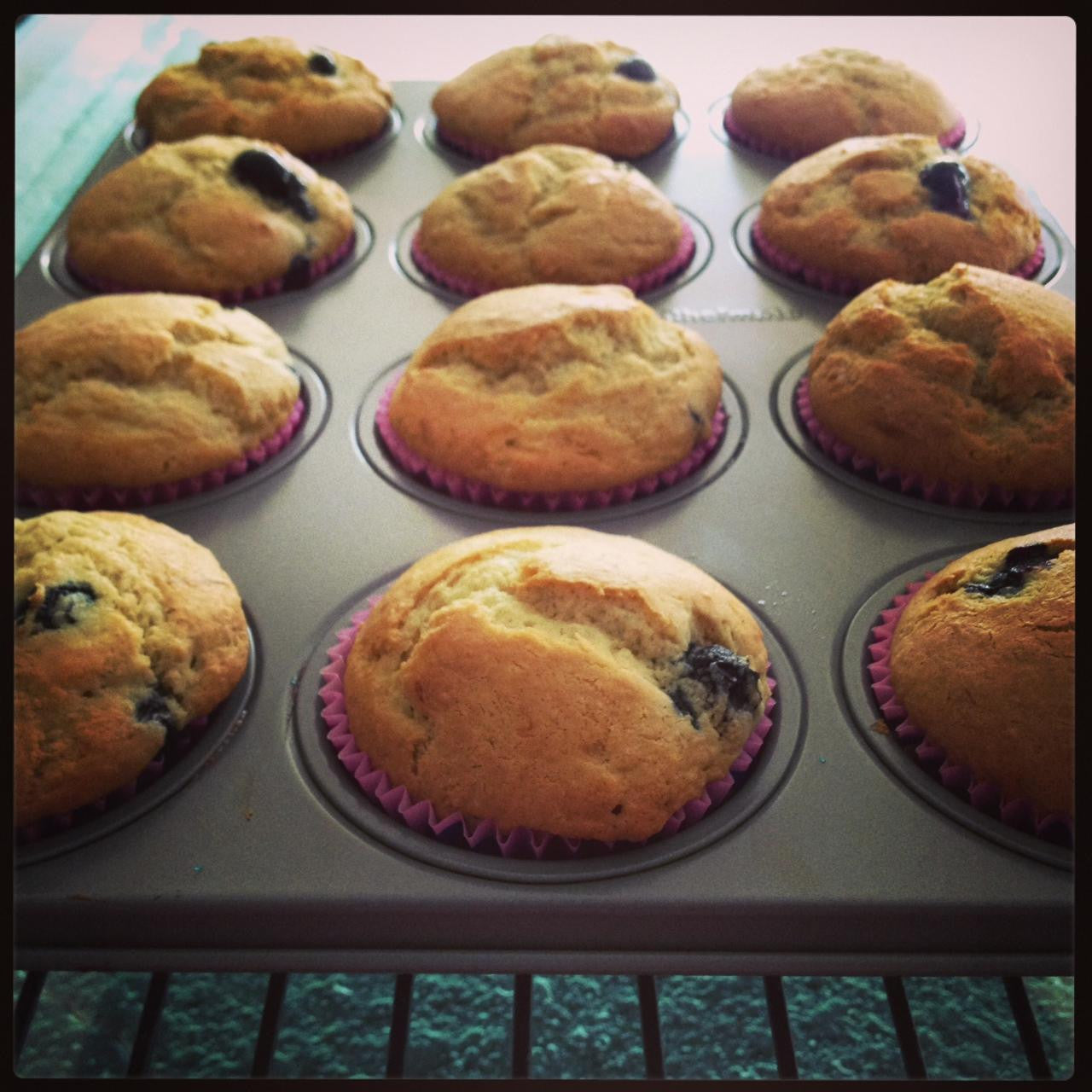 gfJules gluten-free muffin mix package, showing the product in a clear, close-up view with branding and packaging details.