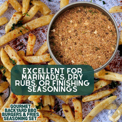 Gustus Vitae gourmet backyard BBQ burgers and fries seasoning set, six-pack collection with variety of flavorful spice blends.