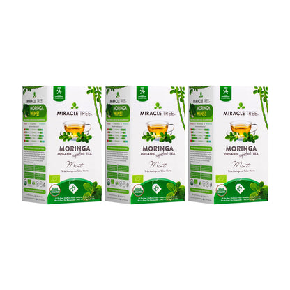 Organic Moringa Tea with mint from Miracle Tree, caffeine-free herbal tea in a clear glass cup with fresh mint leaves.