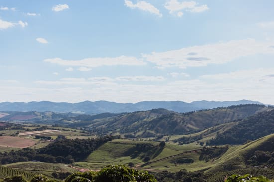 Roasted Brazil Serra Negra coffee beans from Good Brothers Coffee LLC, showcasing shiny, medium-dark roasted beans.