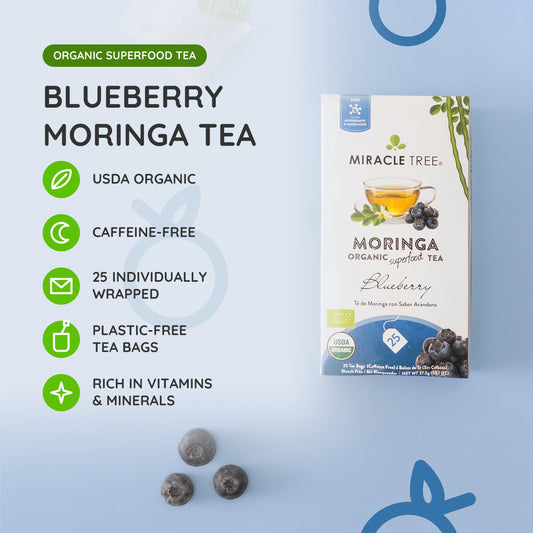 Organic Moringa Tea with Blueberry, caffeine-free herbal tea by Miracle Tree in a clear cup with fresh blueberries and moringa leaves