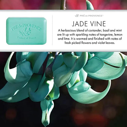 Pre De Provence jade vine Shea Enriched Vegetable Soap 250g