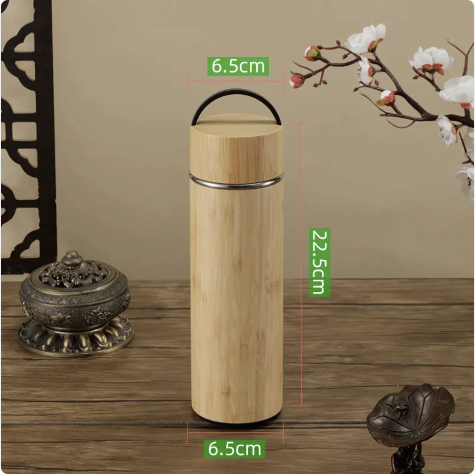 Stainless Steel Insulated Water Bottle