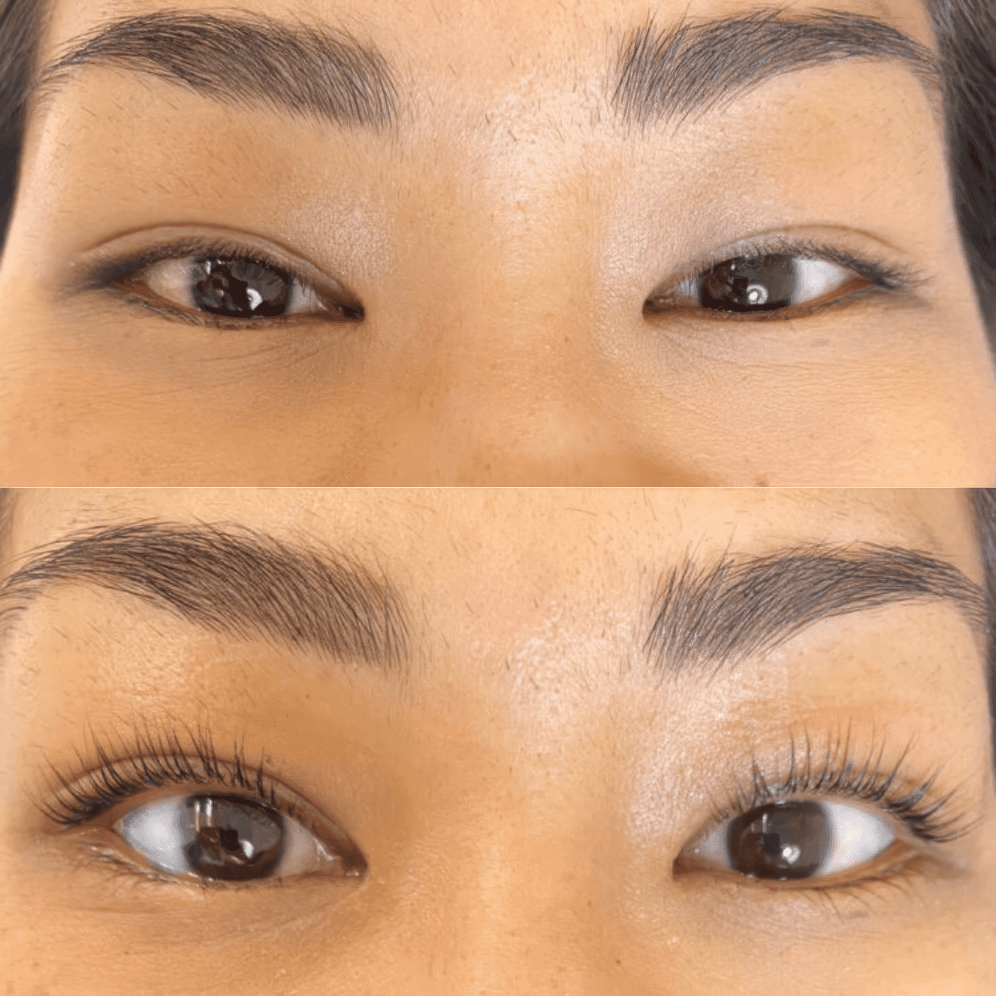 Luxe Cosmetics US Luxe Lashlift Set with tools and products for professional eyelash lifting and curling.