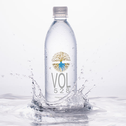 Vol528HzWater 33.8oz bottle of water from the Food & Drink category, featuring a clear plastic bottle with a label and cap.