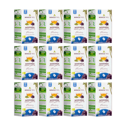 Organic Moringa Blueberry Herbal Tea by Miracle Tree, caffeine-free with fresh blueberry flavor and vibrant tea leaves.
