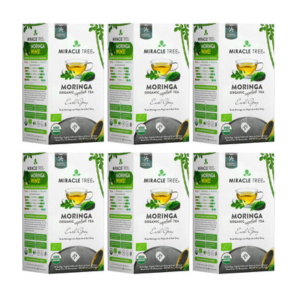Organic Moringa Earl Grey herbal tea by Miracle Tree, featuring dried moringa leaves and bergamot aroma in a tea bag.