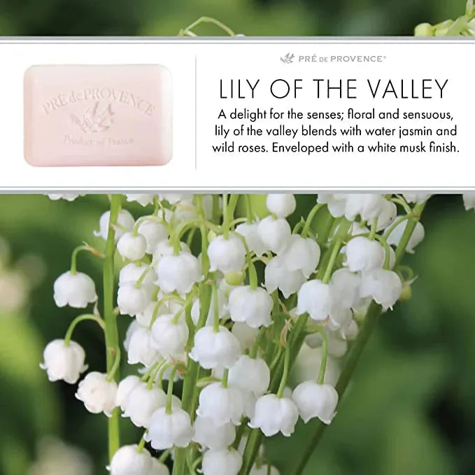 Pasteur Pharmacy Pre De Provence Lily of the Valley shea butter vegetable bar soap, 150g, with floral scent and creamy texture.