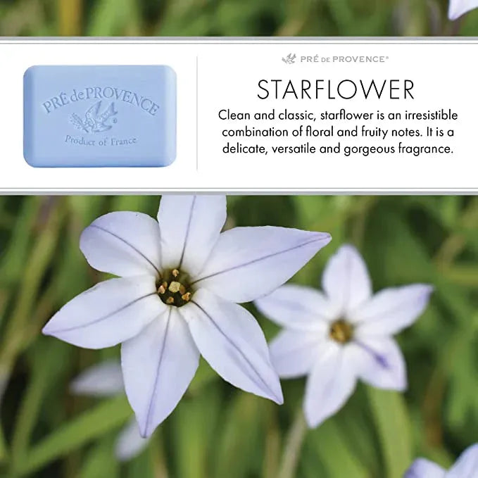 Bar soap with starflower and shea butter from Pre De Provence, showcasing a creamy, vegetable-based soap bar.