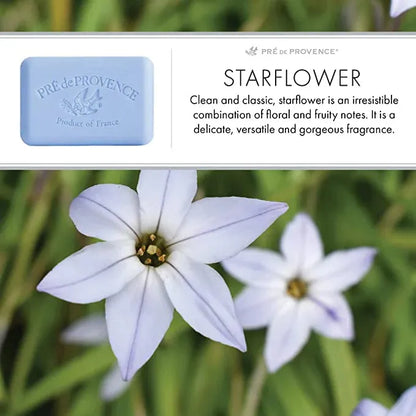 Bar soap with starflower and shea butter from Pre De Provence, showcasing a creamy, vegetable-based soap bar.