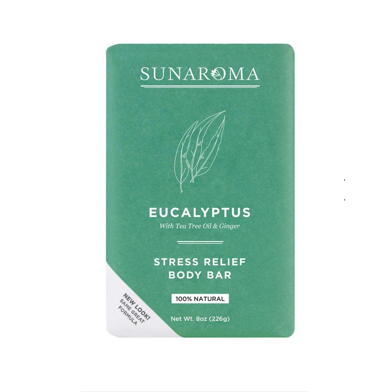 Bar soap by Pasteur Pharmacy with eucalyptus, tea tree oil, and ginger, showing the soap bar with natural ingredients.