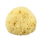 Natural bath sea sponge from The Sponge Company, medium size, used for gentle exfoliation and body cleansing.