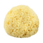 Large natural sea sponge for bathing from The Sponge Company, showcasing its textured, porous surface and natural tan color.