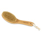 Pasteur Pharmacy Body Brush by The Sponge Company with short handle for exfoliating and cleansing skin