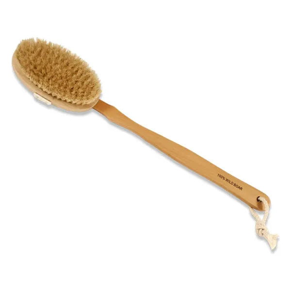Pasteur Pharmacy Body Brush with Long Handle from The Sponge Company, featuring soft bristles for exfoliating and skin cleansing.