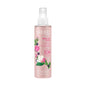 Yardley English Rose Body Mist by Pasteur Pharmacy, 6.8 fl oz bottle with floral rose scent and elegant packaging.