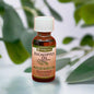 De La Cruz Dlc Pure Eucalyptus Oil 1oz bottle, natural body oil with eucalyptus scent, displayed with dropper cap and label.