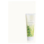 Thymes Eucalyptus Body Scrub in a 7 oz jar, featuring a natural exfoliating scrub with eucalyptus scent, by Pasteur Pharmacy.
