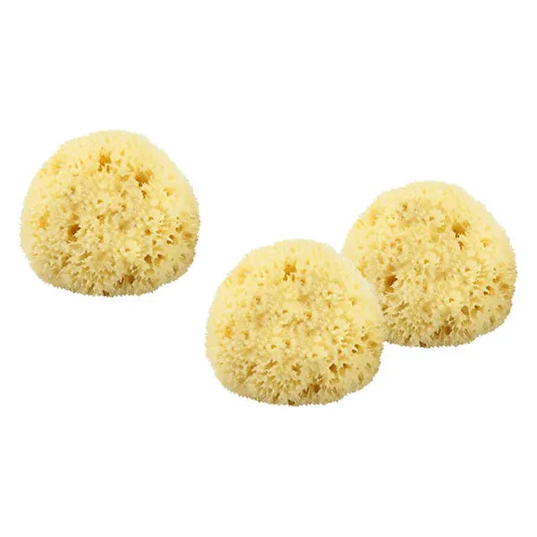 Sea-Silk Cosmetic Sponge by The Sponge Company, large size, soft texture, perfect for makeup application and blending.