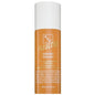 EVO Fabuloso Colour Intensifying Conditioner Caramel 250ml bottle showing the product label and packaging.