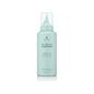 Alterna My Hair My Canvas Shine On Defining Foam 5 oz bottle, lightweight styling foam for volume and shine.